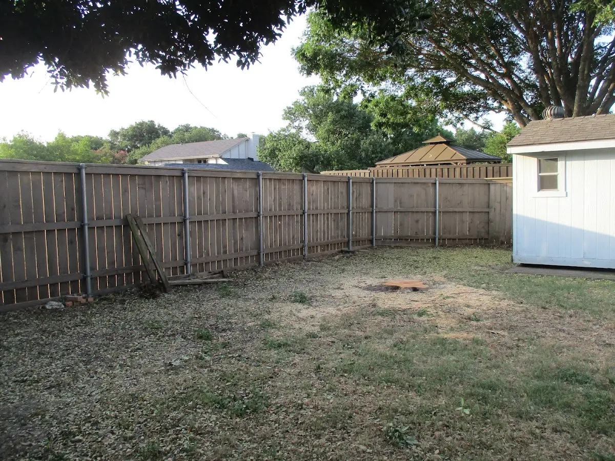 Cleared yard after professional tree removal in Singers Glen